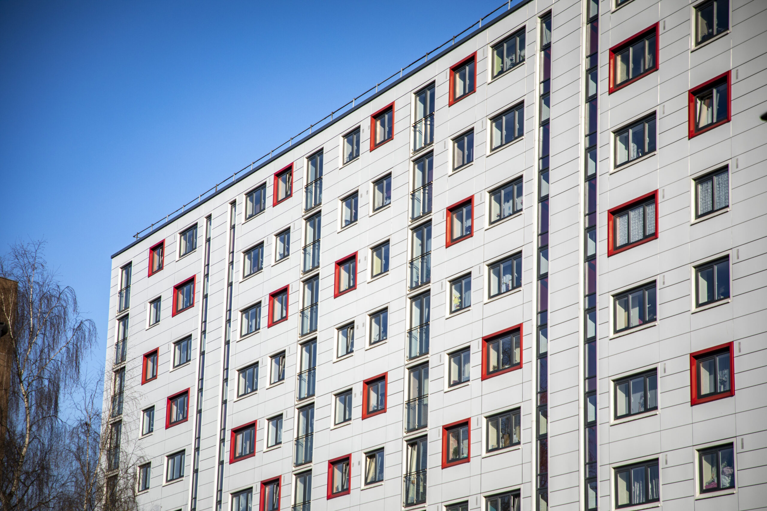 Project – Salix - Cubic Facades